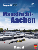 Sim-WingsMaastricht-Aachen Professional