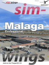 Sim-WingsMalaga Professional